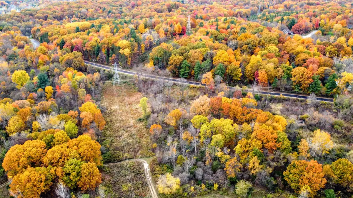 Aerial view of a road winding through autumn forest in Walker, Michigan
